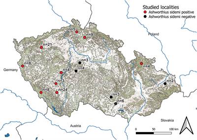 Non-native Nematode Ashworthius sidemi Currently Dominates the Abomasal Parasite Community of Cervid Hosts in the Czech Republic